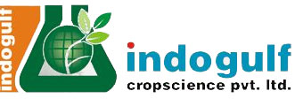 indogulf_logo